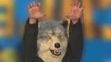 MAN WITH A MISSION　ツアー中　メンバーが宿で動けなくなり救急搬送　「チェーンブッタ切ッテ救出」「4日間入院」|TBS NEWS DIG