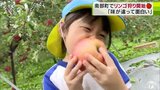 「とれた!」もぎ取ったリンゴを丸かじり!青森県南部町の観光リンゴ園がオープンで地元の園児たちが収穫の秋を満喫|TBS NEWS DIG