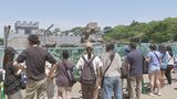 パンチくんを狙いサル山にレーザーポインターを照射 市川市動植物園|TBS NEWS DIG