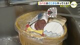 あっという間に増殖 コバエはどこからやってくる? 専門家に聞くと… |TBS NEWS DIG
