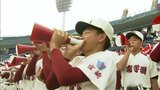 仙台育英と沖縄尚学と対戦 第60回MRT招待高校野球が開幕 14日まで|TBS NEWS DIG
