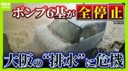 街が浸水「内水氾濫」大阪市が今危ない…要注意の区は？“想定以上の雨量”6月豪雨で排水設備が運転不能　『今年8月はゲリラ雷雨が多い』予想データも　|　MBSニュース | 関西の最新ニュースを分かりやすく。