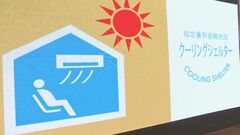 熱中症特別警戒アラート発表時の「避難所」 本格的な夏を前にイオンモールが対応をシミュレーション| TBS CROSS DIG with Bloomberg