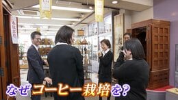 なぜ？創業137年の老舗仏壇店が完全異業種「コーヒー」栽培に挑戦…社長「ムーブメントは起こっています」【岡山】|TBS NEWS DIG