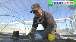 「あの時、世紀末が来たと思った」会社辞め福島で農家の道へと進んだ矢先に　移住先の岡山で再起を懸けた12年　|TBS NEWS DIG