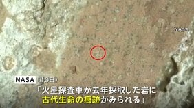 火星に生命がいた痕跡? NASA発表 火星探査車が去年採取した岩に「古代生命の痕跡」の可能性|TBS NEWS DIG