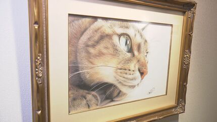 全ネコ好きが歓喜！！かわいくてリアルすぎる「猫」の絵を描く色鉛筆 