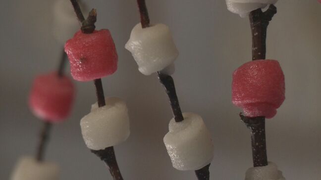 「花もち」作りが最盛期 冬に花が少ない飛騨地方の正月を彩る 出荷は関東や関西にも… 岐阜･高山市|TBS NEWS DIG