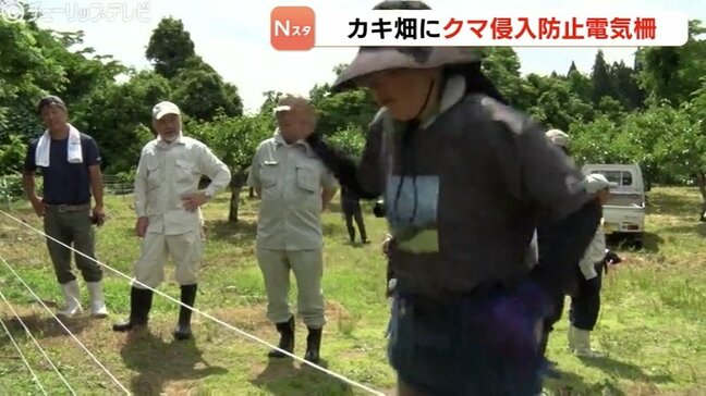 カキ畑にクマ用電気柵設置 去年収穫時期に近くでクマ 砺波・富山|TBS NEWS DIG