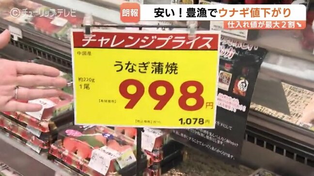 「ほぼほぼ底値」で中国産2割安も…“高嶺の花” うなぎの価格に異変？シラスウナギ豊漁！相次ぐ値上げのなか、家計に朗報　富山　|TBS NEWS DIG