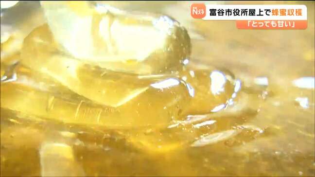 とろっとろで香り豊か！新たな特産品目指し市役所屋上で蜂蜜作り　宮城・富谷市|TBS NEWS DIG