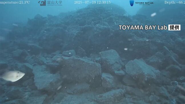 能登半島地震の震源断層 富山大などが石川・輪島市沖で痕跡の撮影に初めて成功|TBS NEWS DIG