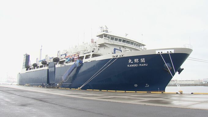 大型ナガスクジラ捕獲解禁へ　捕鯨母船「関鯨丸」が捕獲へ　捕鯨のまち・下関の念願　正式解禁は７月か　|　山口のニュース・天気・防災｜tys NEWS｜ｔｙｓテレビ山口