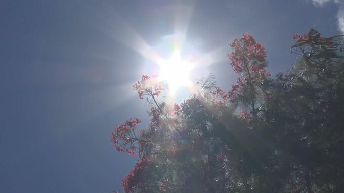 【猛暑】終業式すら「涼しい教室で校内放送で」熱中症警戒アラート26日連続の石垣市|TBS NEWS DIG