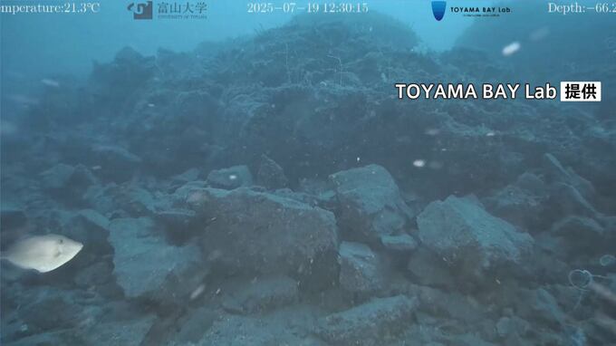 能登半島地震の震源断層 富山大などが石川・輪島市沖で痕跡の撮影に初めて成功|TBS NEWS DIG