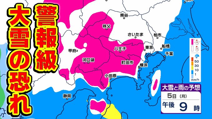 【東京23区8センチの降雪予想】大雪のシミュレーション 5日(月)午後8時～6日(火)午後8時|TBS NEWS DIG