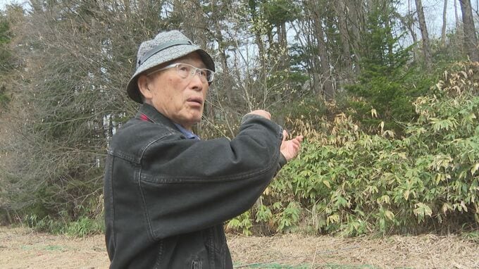 「要請されて撃ったのに…」ヒグマ駆除の熟練ハンターから猟銃を奪った、行政の“理不尽”な裏切り【猟銃を奪われたハンター】国と北海道に賠償求め提訴《連載（1）》|TBS NEWS DIG