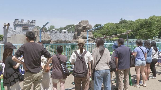 パンチくんを狙いサル山にレーザーポインターを照射　市川市動植物園|TBS NEWS DIG