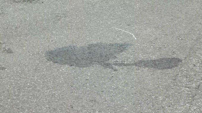 道路脇に倒れたオートバイ…　近くに倒れていた男性（71）約3時間後に死亡　単独事故とみられるか　県道204号　|　青森のニュース│ATV NEWS│青森テレビ