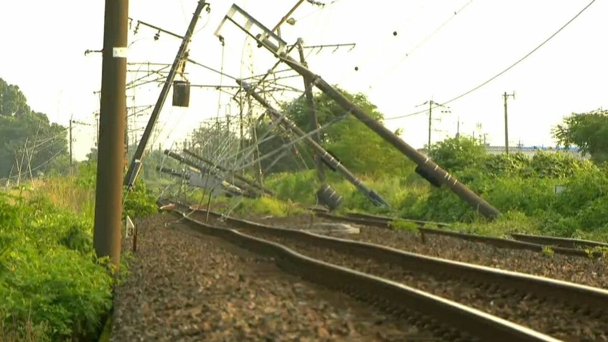 震度7の揺れ観測した氷川町で断層70～80センチずれ動く…専門家が現地調査　日奈久断層の割れ残りに警鐘