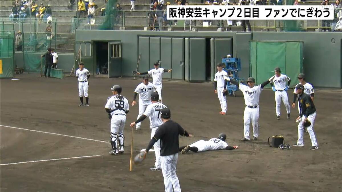 「日本シリーズは残念でしたけどリーグ優勝は満足！」阪神タイガース安芸キャンプ2日目　午前中だけで1000人のファン詰めかける【高知】