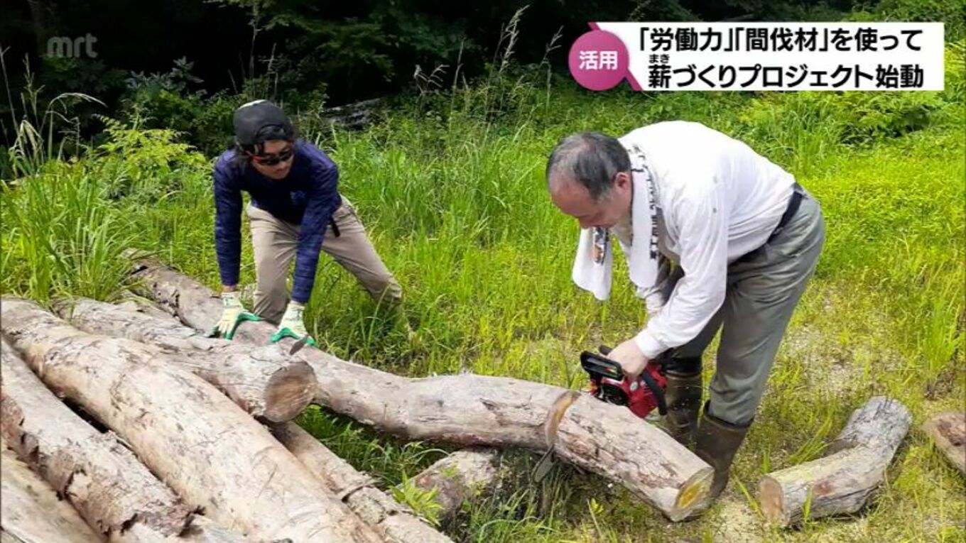 「間伐材の活用」に「高齢者の働く場所の確保」地域資源を活用 日南市北郷町の薪づくりプロジェクト | TBS NEWS DIG フォトギャラリー