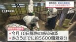 都城市の養豚場での「豚熱」　すべての防疫措置が完了　5日間でのべ約800人が従事|TBS NEWS DIG