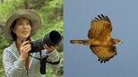 【 磯野貴理子 】　五島列島・福江島で野鳥観察「タカの渡りを見に行ってきました」|TBS NEWS DIG