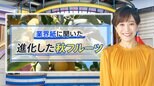 甘っ!ヤバっ!小っちゃ!タネなし皮ごとOKの「ミニフルーツ」が今秋ブレイク中【THE TIME,】 |TBS NEWS DIG