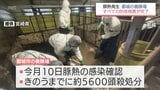 都城市の養豚場での「豚熱」　すべての防疫措置が完了　5日間でのべ約800人が従事|TBS NEWS DIG