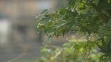 前線などの影響で加賀地方では雷を伴う激しい雨見込み 金沢市の歩行者専用道路では石積みののり面が崩落　|　石川県のニュース｜MRO北陸放送