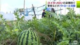 夏の味覚の盗難防げ！　スイカ・メロンの名産地で「盗難防止パトロール」始まる「不審な人や車を見かけたら警察署に連絡を」　|　青森のニュース│ATV NEWS│青森テレビ