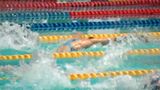 トップスイマーたちが圧巻の泳ぎ 岩崎恭子カップ2024 パリオリンピック™で活躍した選手などを招待=静岡 | 静岡のニュース | SBSNEWS | 静岡放送