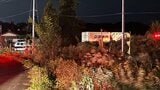 【速報・続報】事故 軽自動車が大型トラックと衝突 軽の女性3人が意識不明 いずれも大人とみられる 現場は一時停止のある十字路交差点 国道113号(山形・長井市) | 山形のニュース│TUYテレビユー山形