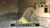 MRT環境賞 今年のSDGs環境大賞は「大和フロンティア」|TBS NEWS DIG