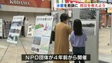 災害時、家族をどう守る? 白川大水害から７０年　防災について考えるパネル展　　　|　熊本のニュース｜RKK NEWS｜RKK熊本放送