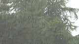 甲府で36.3℃ 3日連続で35℃を超える猛暑日 夕方は一部の地域に強い雨、甲府でひょうも確認|TBS NEWS DIG