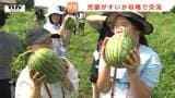 「お店で見たことしかない」北海道厚岸町の児童が村山市で旬のすいかを収穫！友好都市の児童たちがおいしいすいかで交友深める（山形）　|　山形のニュース│TUYテレビユー山形