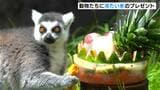 動物に冷た~い“氷”のプレゼント 爪でかいて、なめてひんやり…警戒して距離をとる動物も…(高知・香南市) | 高知のニュース・天気|KUTV NEWS | KUTVテレビ高知