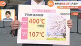 もうすぐ春？ 19日 東京は最高気温18℃予想・・・桜はいつ咲く？開花目安 “400℃の法則”とは 【気象予報士解説】|TBS NEWS DIG