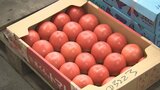 猛暑と水不足の影響 ホウレンソウやトマトなどの野菜高騰 | 山梨のニュース | UTYテレビ山梨