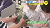 青果卸売組合が被爆者が暮らす原爆養護ホームへ “旬の甘いスイカ” を寄贈　夏を元気に過ごして|TBS NEWS DIG