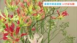 「秋を感じられるように思います」華道9つの流派の作品が集結 倉敷市華道連盟いけばな展 | 岡山・香川のニュース | 天気 | RSK山陽放送