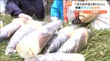 「えぐみ少なく柔らかい」特産のタケノコ初出荷 今年は“裏年”も1万本出荷目標 宮城・丸森町 | 宮城のニュース│tbc NEWS│tbc東北放送