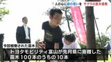 緑豊かな街づくりを　公園にサクラの苗木を植樹　|　富山のニュース｜天気・防災｜チューリップテレビ