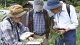 最低気温は盛岡市薮川で3.7度 岩手県内暑さから一転秋深まる 過ごしやすい一日に|TBS NEWS DIG