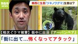 【相次ぐクマ被害】大型野生哺乳類の専門家が解説『アーバンベア』は「車や犬や人に会っていくうち怖くなってアタック」遭遇したら「とにかく距離をとれ」|TBS NEWS DIG