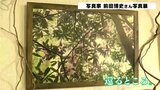 「生きる喜び感じて」写真家・前田博史さん 原点回帰がテーマの写真展 | 高知のニュース・天気|KUTV NEWS | KUTVテレビ高知