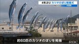 こいのぼり ならぬ 「カツオのぼり」 沖縄・本部町で4年ぶりに掲揚 | 沖縄のニュース|RBC 琉球放送