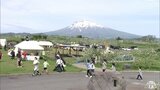 「リンゴをゆっくり楽しみたい」２度目の“花見”りんご花まつり開幕　青森県弘前市|TBS NEWS DIG